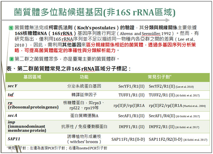 Figure 1. Primer pairs targeting non-16S rRNA regions for the identification of 16SrII group phytoplasmas.