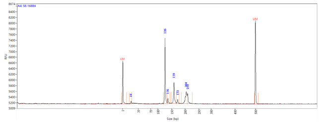 Figure 3. Results of capillary electrophoresis analysis.